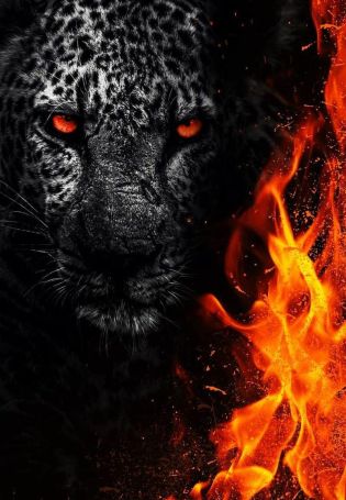 Огненный леопард
