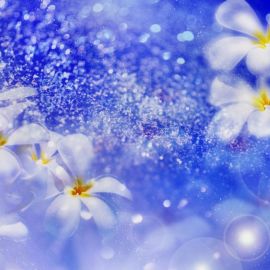 Весенние голубые цветочки