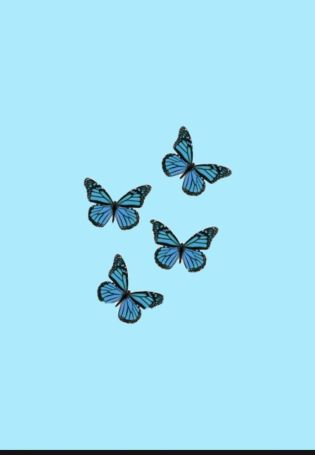 Бабочка симметрия