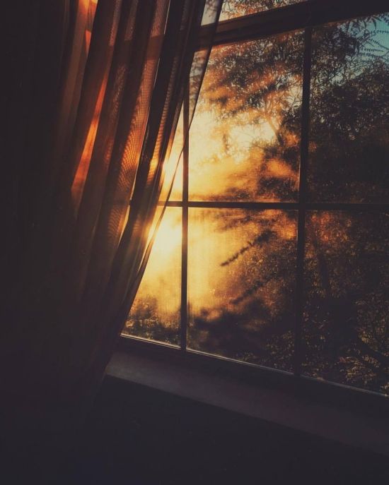 Солнце в окне