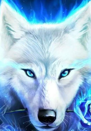 Красно синий волк