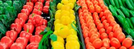 Оптовый рынок овощей и фруктов