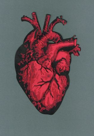 Анатомическое сердце минимализм