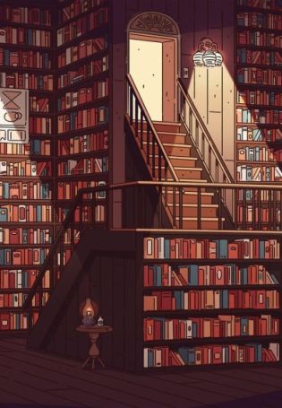 Ночная библиотека