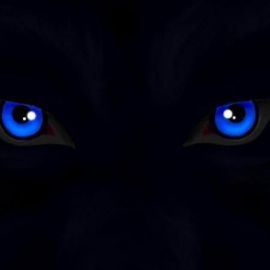 Волчьи глаза в темноте