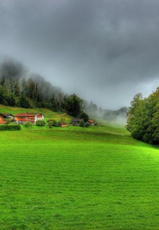 Трава в деревне