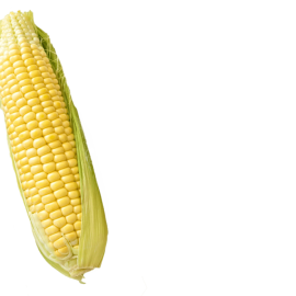 Зерновка кукурузы