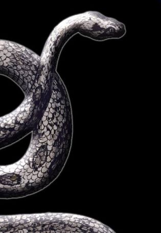 Змея символ