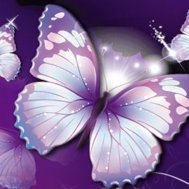 Пурпурная бабочка