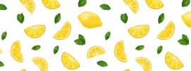 Ветка лимона