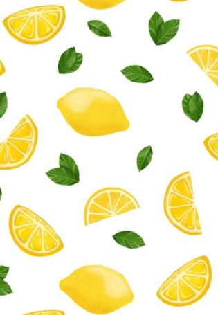 Ветка лимона