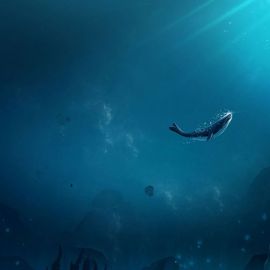 Подводный мир марианской впадины