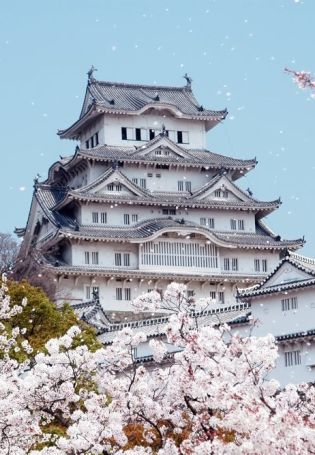 Японский замок химэдзи