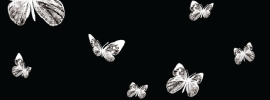 Бабочки на хромакее