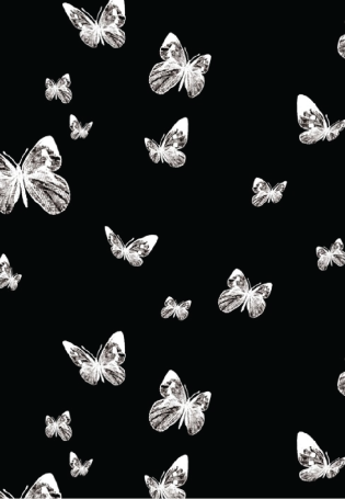 Бабочки на хромакее