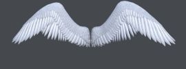 Крылья ангелов