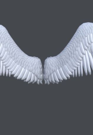Крылья ангелов