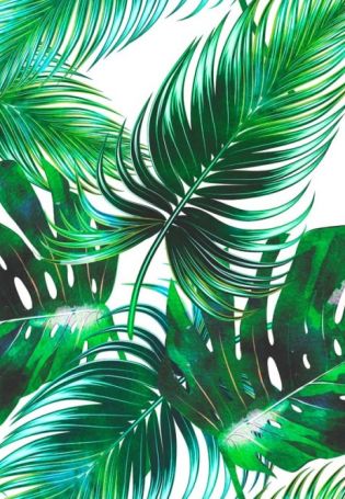 Пальмовые листья фон