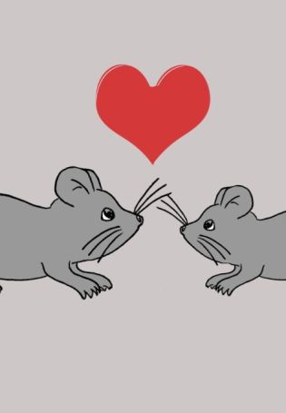 Мышь с сердечком