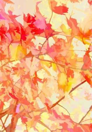 Абстрактная композиция осень