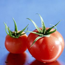 Незрелые помидоры