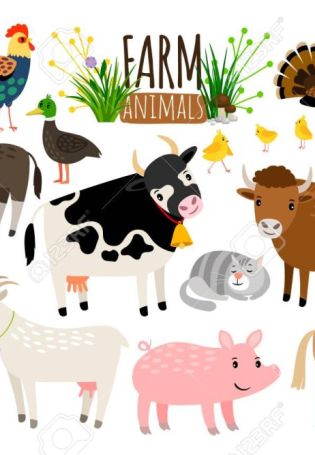 Сельскохоз животные