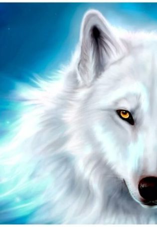 Белый волк на синем фоне