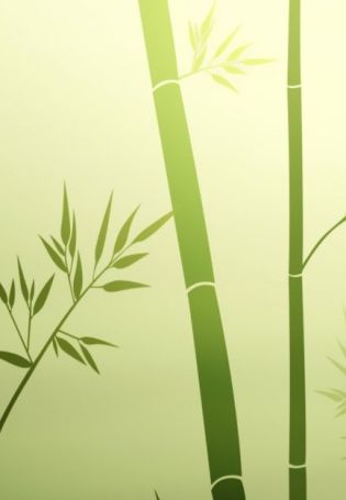 Бамбуковый фон
