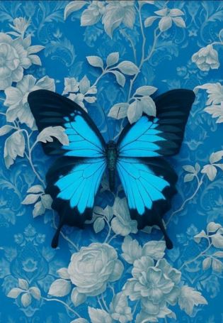 Бабочки на синем фоне обои