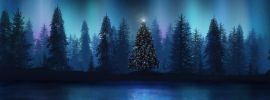 Фон ночной зимний лес