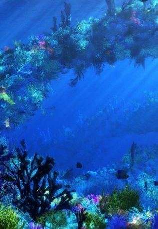 Голубая вода в аквариуме