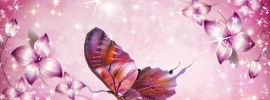 Бабочки на фиолетовом фоне