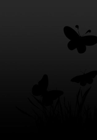 Живые обои бабочки на черном фоне
