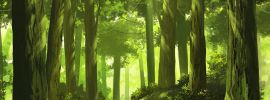 Зеленый фон лес