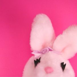 Розовый кролик логотип