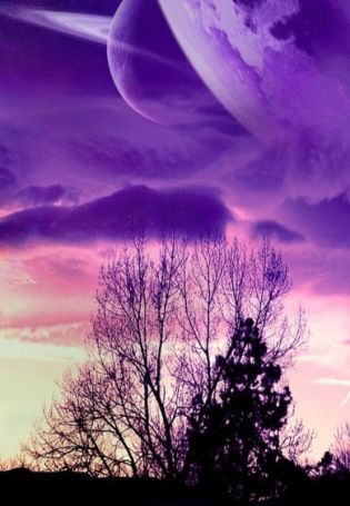 Фиолетовая луна