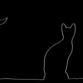 Белый кот на черном фоне рисунок