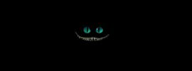 Чеширский кот на черном фоне