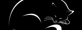 Нарисованный кот на черном фоне