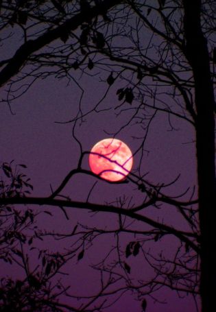 Красное небо с луной