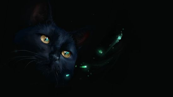 Черный кот на голубом фоне