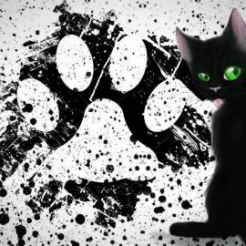 Котик на черном фоне рисунок