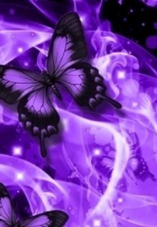 Фиолетовые бабочки на черном фоне