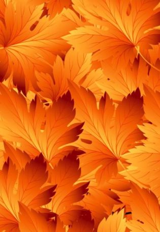 Кленовый лист оранжевый