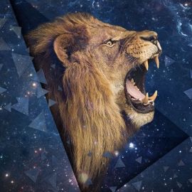 Звездный лев