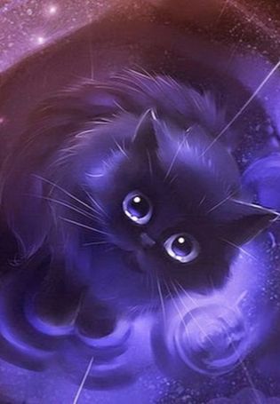 Черный кот с фиолетовыми глазами