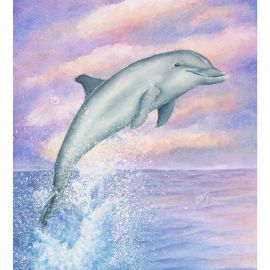 Фиолетовые дельфины