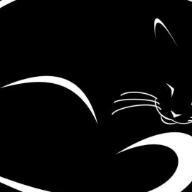 Черный кот силуэт