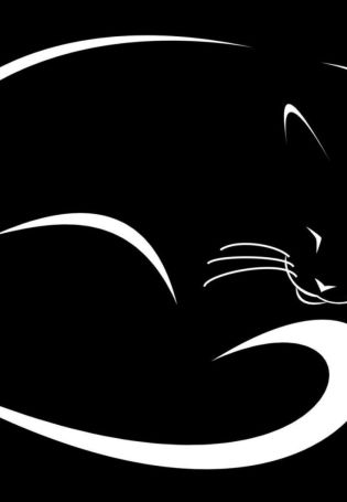Черный кот силуэт