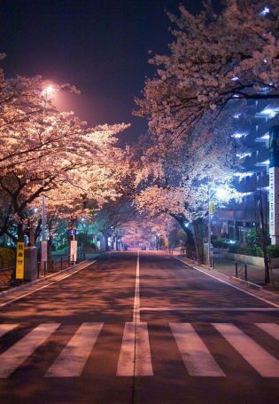 Красивая улица ночью